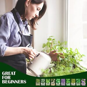 10 Herb Kit Non-GMO Growing into Thyme, Lavender, Chamomile, Dill, Chives, Cilantro, Rosemary, Basil, Parsley, Sage Indoor/Outdoor Herb Planting for Kitchen Windowsill Gardening Gift