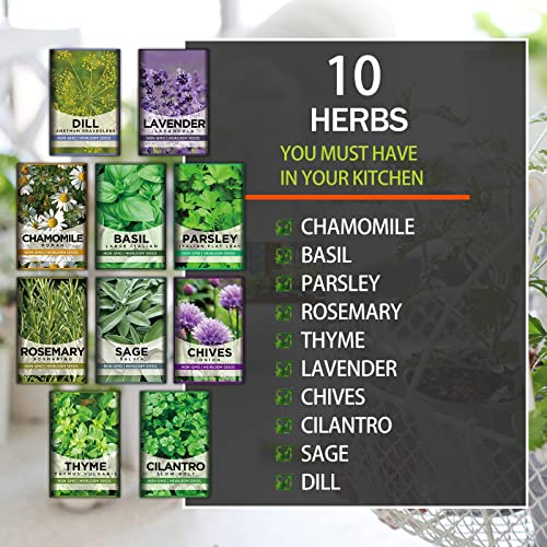 10 Herb Kit Non-GMO Growing into Thyme, Lavender, Chamomile, Dill, Chives, Cilantro, Rosemary, Basil, Parsley, Sage Indoor/Outdoor Herb Planting for Kitchen Windowsill Gardening Gift