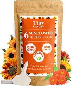 sunflower seeds pack for planting outdoors – 6 beautiful sunflower seed varieties to plant – autumn beauty, lemon queen, mexican, sunspot, velvet queen, wild sunflower – flower seeds for planting