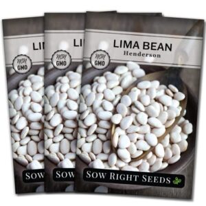sow right seeds – henderson lima bean seed for planting – non-gmo heirloom packet with instructions to plant a home vegetable garden (3)