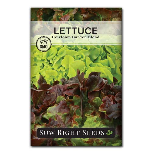 Sow Right Seeds - Mixed Heirloom Lettuce Seeds for Planting - Non-GMO Heirloom Packet with Instructions to Plant & Grow an Outdoor Home Vegetable Garden - Hardy, Colorful Mix of Lettuce - Great Gift