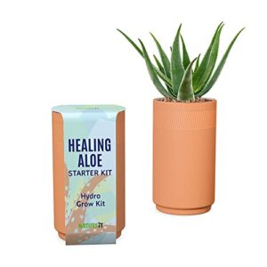 aloe vera grow kit – comes with terracotta planter. grow an aloe vera succulent plant from seed. perfect for garden enthusiasts, indoor & outdoor growing, a must-have for any plant lover