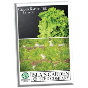 grand rapids tbr lettuce seeds for planting, 1000+ heirloom seeds per packet, (isla’s garden seeds), non gmo seeds, botanical name: lactuca sativa, great home garden gift