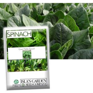 giant noble spinach seeds for planting, 100+ heirloom seeds per packet, (isla’s garden seeds), non gmo seeds, botanical name: spinacia oleracea, great home garden gift