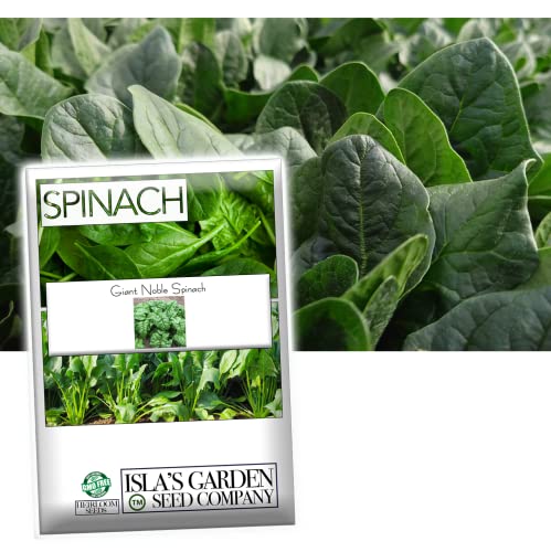 Giant Noble Spinach Seeds for Planting, 100+ Heirloom Seeds Per Packet, (Isla's Garden Seeds), Non GMO Seeds, Botanical Name: Spinacia oleracea, Great Home Garden Gift