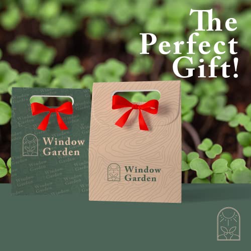 Window Garden Mammoth Sunflower Grow Kit - Giant Sunflower Planting Seeds Starter Pack - Germinate Seeds on Your Windowsill, Mini Greenhouse System - with 10 Fiber Soil Seed Starters