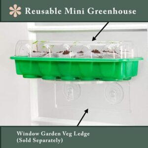 Window Garden Mammoth Sunflower Grow Kit - Giant Sunflower Planting Seeds Starter Pack - Germinate Seeds on Your Windowsill, Mini Greenhouse System - with 10 Fiber Soil Seed Starters