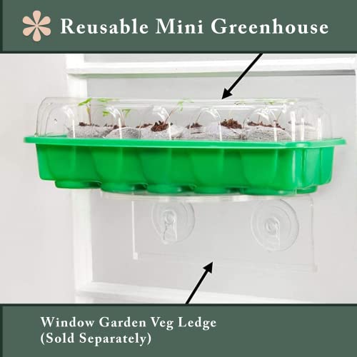 Window Garden Mammoth Sunflower Grow Kit - Giant Sunflower Planting Seeds Starter Pack - Germinate Seeds on Your Windowsill, Mini Greenhouse System - with 10 Fiber Soil Seed Starters