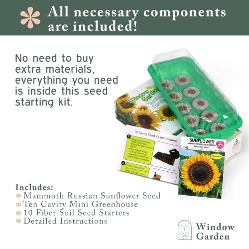 Window Garden Mammoth Sunflower Grow Kit - Giant Sunflower Planting Seeds Starter Pack - Germinate Seeds on Your Windowsill, Mini Greenhouse System - with 10 Fiber Soil Seed Starters