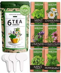 medicinal herb seeds collection | 6 heirloom tea seeds | non gmo lavender, chamomile, mint seeds for planting outdoors & indoors – lemon balm, peppermint, echinacea | gardening gifts for women & men