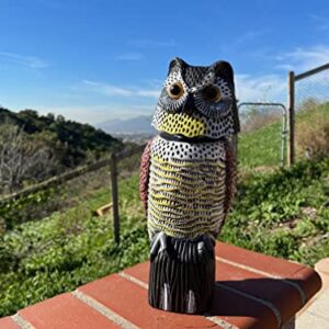 GiftExpress 15.5" Scarecrow Owl Decoy with Rotating Head Statue, Pest Repellent, Bird Control, Bird Deterrent, Garden Protectors, Fake Owls (1)