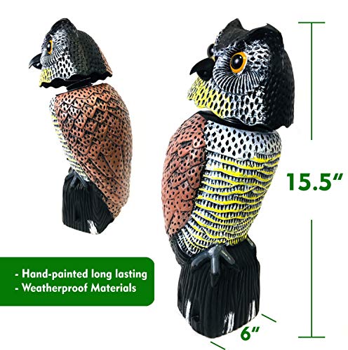 GiftExpress 15.5" Scarecrow Owl Decoy with Rotating Head Statue, Pest Repellent, Bird Control, Bird Deterrent, Garden Protectors, Fake Owls (1)