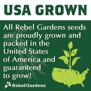 Organic Garden Greens Vegetable Seeds - 8 Varieties of Heirloom, Non-GMO Salad Green Seeds - Lettuce, Arugula, Swiss Chard, Kale, and Spinach