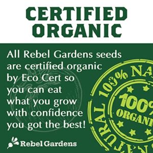 Organic Garden Greens Vegetable Seeds - 8 Varieties of Heirloom, Non-GMO Salad Green Seeds - Lettuce, Arugula, Swiss Chard, Kale, and Spinach