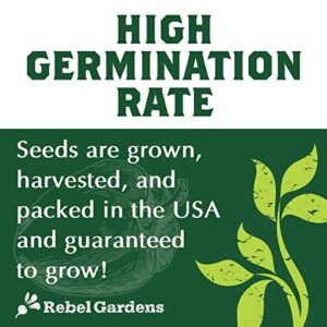 Organic Garden Greens Vegetable Seeds - 8 Varieties of Heirloom, Non-GMO Salad Green Seeds - Lettuce, Arugula, Swiss Chard, Kale, and Spinach