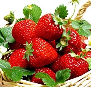 200pcs Giant Strawberry Seeds, Sweet Red Strawberry Garden Strawberry Fruit Seeds, for Garden Planting