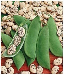 david’s garden seeds bean lima bush jackson wonder fba-00051 (green) 100 non-gmo, heirloom seeds