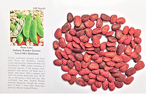 David's Garden Seeds Bean Lima Bush Jackson Wonder FBA-00051 (Green) 100 Non-GMO, Heirloom Seeds