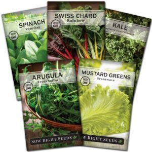 sow right seeds – power greens seed collection for planting – spinach, arugula, kale, mustard greens and rainbow swiss chard – non-gmo heirloom seeds to plant and grow a home vegetable garden