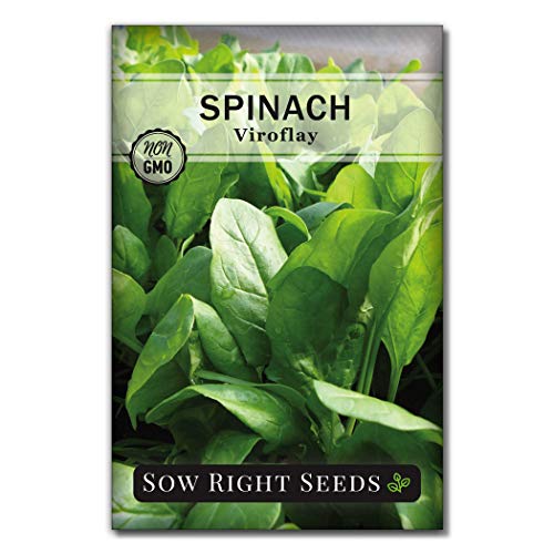 Sow Right Seeds - Power Greens Seed Collection for Planting - Spinach, Arugula, Kale, Mustard Greens and Rainbow Swiss Chard - Non-GMO Heirloom Seeds to Plant and Grow a Home Vegetable Garden