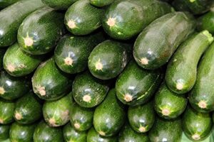 zucchini seeds – black beauty – aka summer squash or courgette – heirloom – liliana’s garden