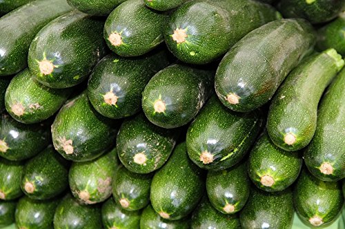 Zucchini Seeds - Black Beauty - aka Summer Squash or Courgette - Heirloom - Liliana's Garden