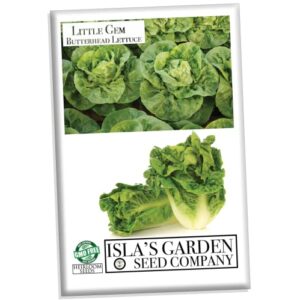 “little gem” butterhead lettuce seeds for planting, 1000+ heirloom seeds per packet, (isla’s garden seeds), non gmo seeds, scientific name: lactuca sativa, great home garden gift