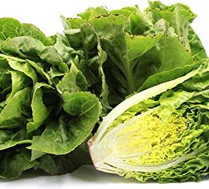 "Little Gem" Butterhead Lettuce Seeds for Planting, 1000+ Heirloom Seeds Per Packet, (Isla's Garden Seeds), Non GMO Seeds, Scientific Name: Lactuca Sativa, Great Home Garden Gift