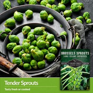 Survival Garden Seeds - Long Island Improved Brussels Sprouts for Planting - 3 Packs with Instructions to Plant and Grow Delicious Sweet Sprouts in the Home Vegetable Garden - Non-GMO Heirloom Variety