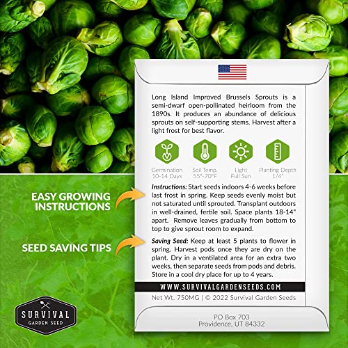 Survival Garden Seeds - Long Island Improved Brussels Sprouts for Planting - 3 Packs with Instructions to Plant and Grow Delicious Sweet Sprouts in the Home Vegetable Garden - Non-GMO Heirloom Variety