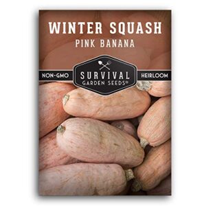 survival garden seeds – pink banana winter squash seed for planting – pack with instructions to plant and grow unique winter vegetables in your home vegetable garden – non-gmo heirloom variety