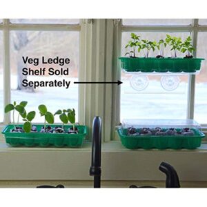 Window Garden - Evening Sun Sunflower Flower Starter Kit - Grow Beauty. Germinate Seeds on Your Windowsill Then Move to Planter or Beds. Mini Greenhouse System Make’s it Foolproof, Easy and Fun.