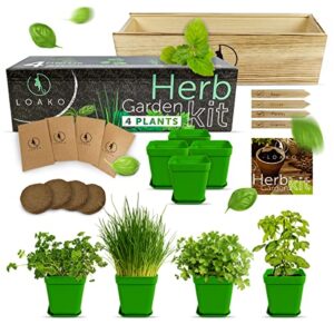 indoor herb garden starter kit – diy kits for adults – 4 herb seeds growing kit – crafts for adults – home seed starter grow plant kit – craft kits for adults – basil, parsley, cilantro, chives