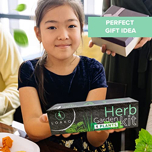 Indoor Herb Garden Starter Kit - DIY Kits for Adults - 4 Herb Seeds Growing Kit - Crafts for Adults - Home Seed Starter Grow Plant Kit - Craft Kits for Adults - Basil, Parsley, Cilantro, Chives