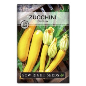 sow right seeds – golden zucchini seeds for planting – non-gmo heirloom packet with instructions to plant and grow an outdoor home vegetable garden – bright yellow squash for a great gardening gift