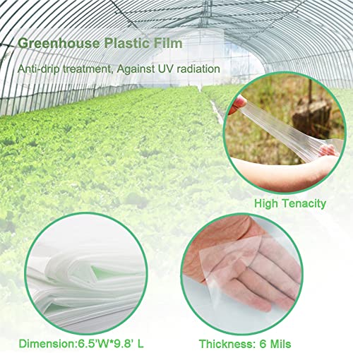 Yowlieu 6 Mil Clear Greenhouse Plastic Sheeting, 6.5' x 9.8' UV Resistant Polyethylene Greenhouse Film Hoop Green House Plastic Cover for Farms, Agriculture, Garden