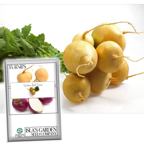 Golden Ball Turnip Seeds for Planting, 1000+ Heirloom Seeds Per Packet, (Isla's Garden Seeds), Non GMO Seeds, Botanical Name: Brassica Rapa, Great Home Garden Gift