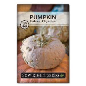 sow right seeds – galeux d’eysines pumpkin seeds for planting – non-gmo heirloom packet with instructions to plant and grow an outdoor home vegetable garden – unique squash – wonderful gardening gift