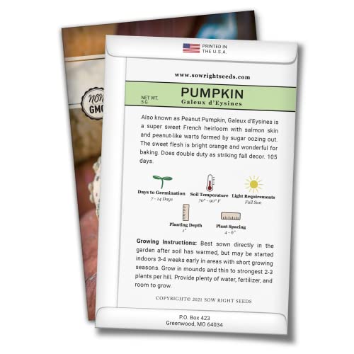 Sow Right Seeds - Galeux d'Eysines Pumpkin Seeds for Planting - Non-GMO Heirloom Packet with Instructions to Plant and Grow an Outdoor Home Vegetable Garden - Unique Squash - Wonderful Gardening Gift