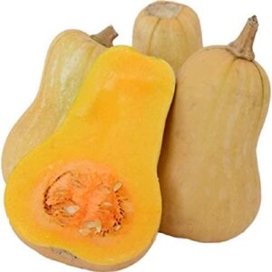 David's Garden Seeds Squash Winter Butternut Waltham FBA-00016 (Tan) 50 Non-GMO, Heirloom Seeds