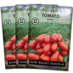 sow right seeds – roma tomato seed for planting – non-gmo heirloom packet with instructions to plant a home vegetable garden – great gardening gift (3)