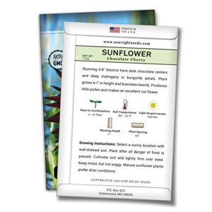 Sow Right Seeds - Chocolate Cherry Sunflower Seeds for Planting - Non-GMO Heirloom Packets with Instructions to Plant a Home Vegetable Garden (4)