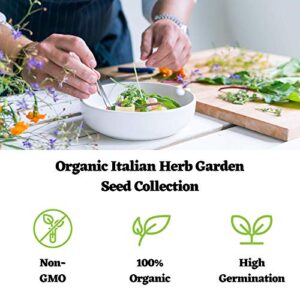 Organic Italian Herb Garden Seed Collection - 5 Non-GMO, Organic Seed Packets - Oregano, Thyme, Basil, Sage, Cilantro - Kitchen Culinary Herb Gardening Seeds