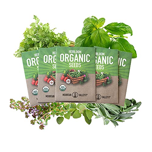 Organic Italian Herb Garden Seed Collection - 5 Non-GMO, Organic Seed Packets - Oregano, Thyme, Basil, Sage, Cilantro - Kitchen Culinary Herb Gardening Seeds