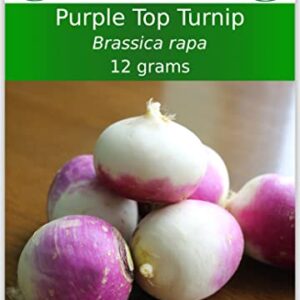 TKE Farms - Purple Top Turnip Seeds for Planting, 12 Grams ~ 5000 Seeds, Brassica rapa