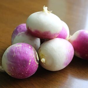 TKE Farms - Purple Top Turnip Seeds for Planting, 12 Grams ~ 5000 Seeds, Brassica rapa