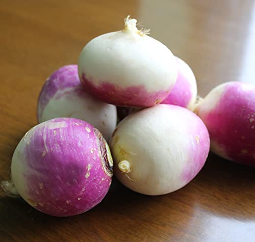 TKE Farms - Purple Top Turnip Seeds for Planting, 12 Grams ~ 5000 Seeds, Brassica rapa