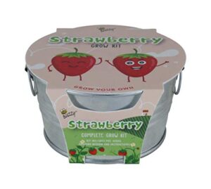buzzy kids mini basin seed grow kit | strawberry | kids collection | best gardening gifts, favors, weddings, parties, events, modern, trendy, unique, and fun | growth guaranteed