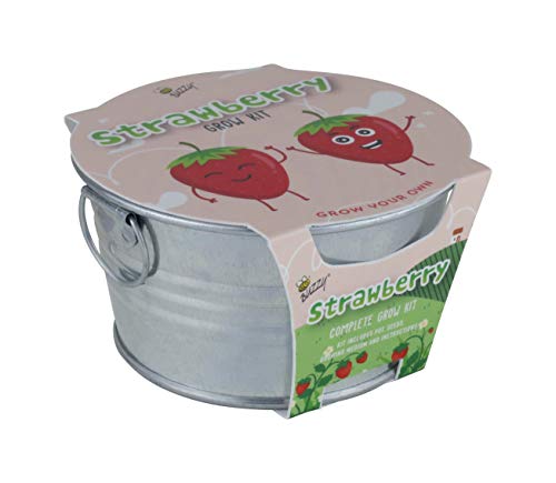 BUZZY Kids Mini Basin Seed Grow Kit | Strawberry | Kids Collection | Best Gardening Gifts, Favors, Weddings, Parties, Events, Modern, Trendy, Unique, and Fun | Growth Guaranteed