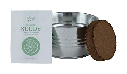 BUZZY Kids Mini Basin Seed Grow Kit | Strawberry | Kids Collection | Best Gardening Gifts, Favors, Weddings, Parties, Events, Modern, Trendy, Unique, and Fun | Growth Guaranteed